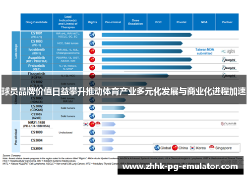 球员品牌价值日益攀升推动体育产业多元化发展与商业化进程加速