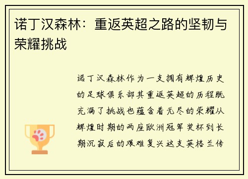 诺丁汉森林：重返英超之路的坚韧与荣耀挑战